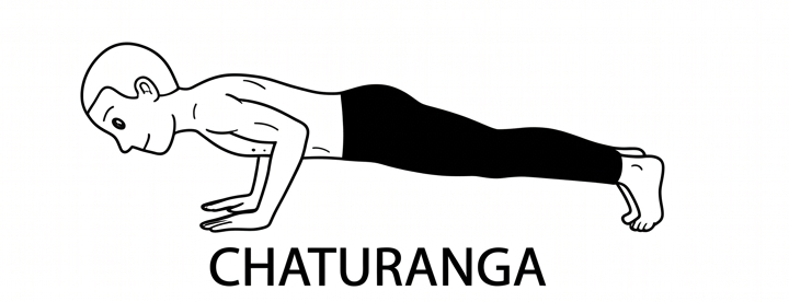 Visual sketch of Chaturanga (Chaturanga Dandasana)