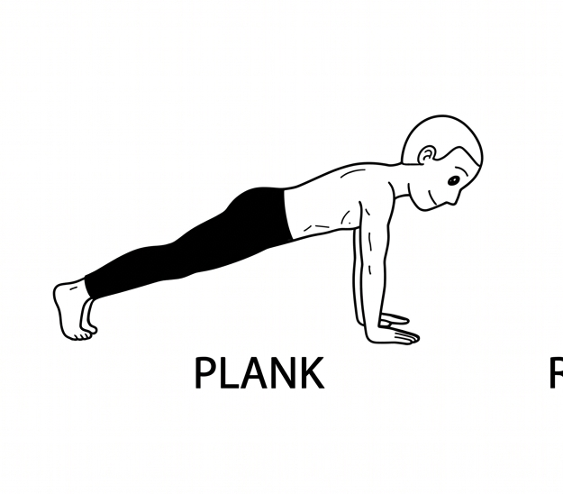 Visual sketch of Plank (Phalakasana)